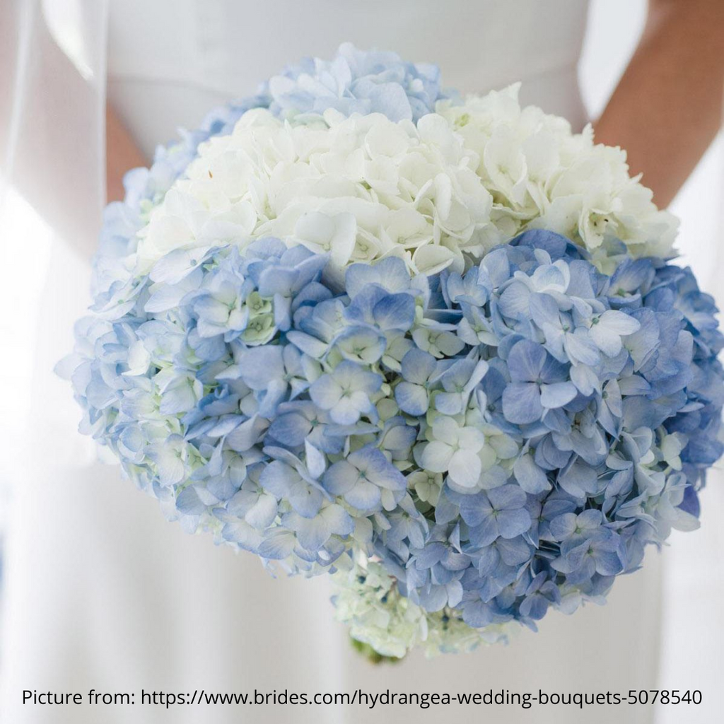 Hydrangeas in your wedding